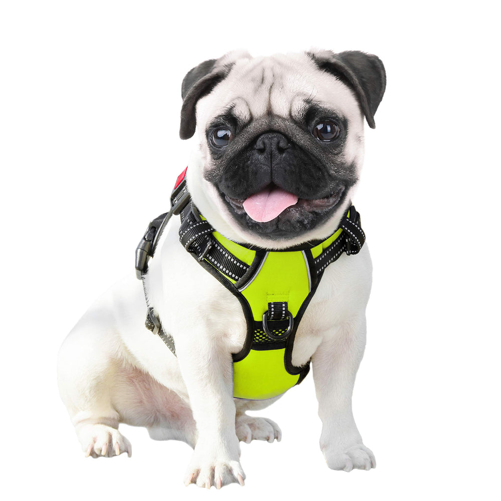 PHOEPET arnés reflectante ideal para paseos diarios y seguridad