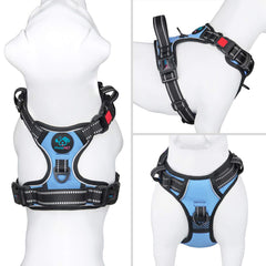 PHOEPET arnés con asa de entrenamiento para control cercano