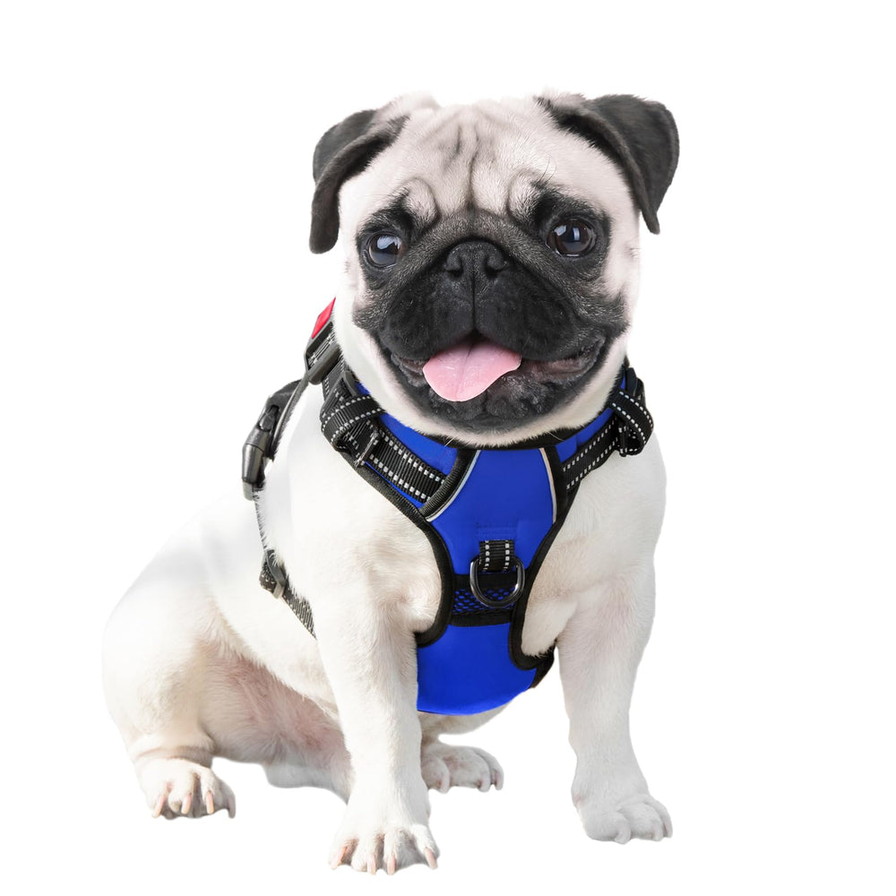 PHOEPET arnés mediano reflectivo para mayor visibilidad en paseos nocturnos