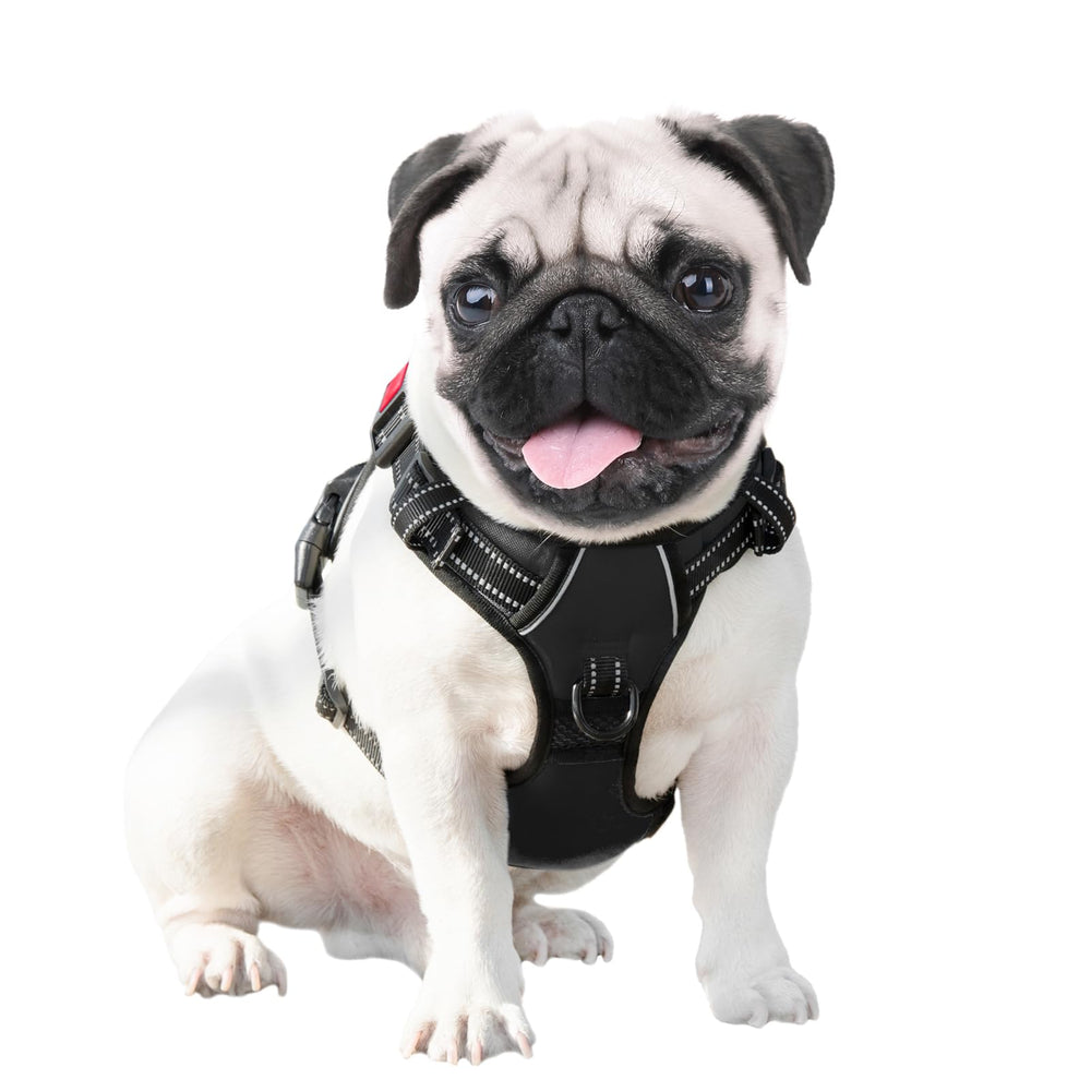 PHOEPET arnés para perros grandes, ideal para salidas diarias