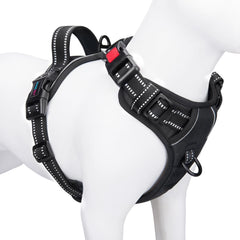 PHOEPET arnés sin tirón con clip frontal para paseos más suaves.