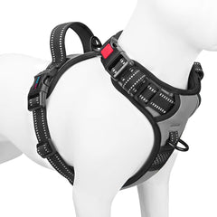 Arnés PHOEPET sin tirones con clip frontal para paseos cómodos y controlados