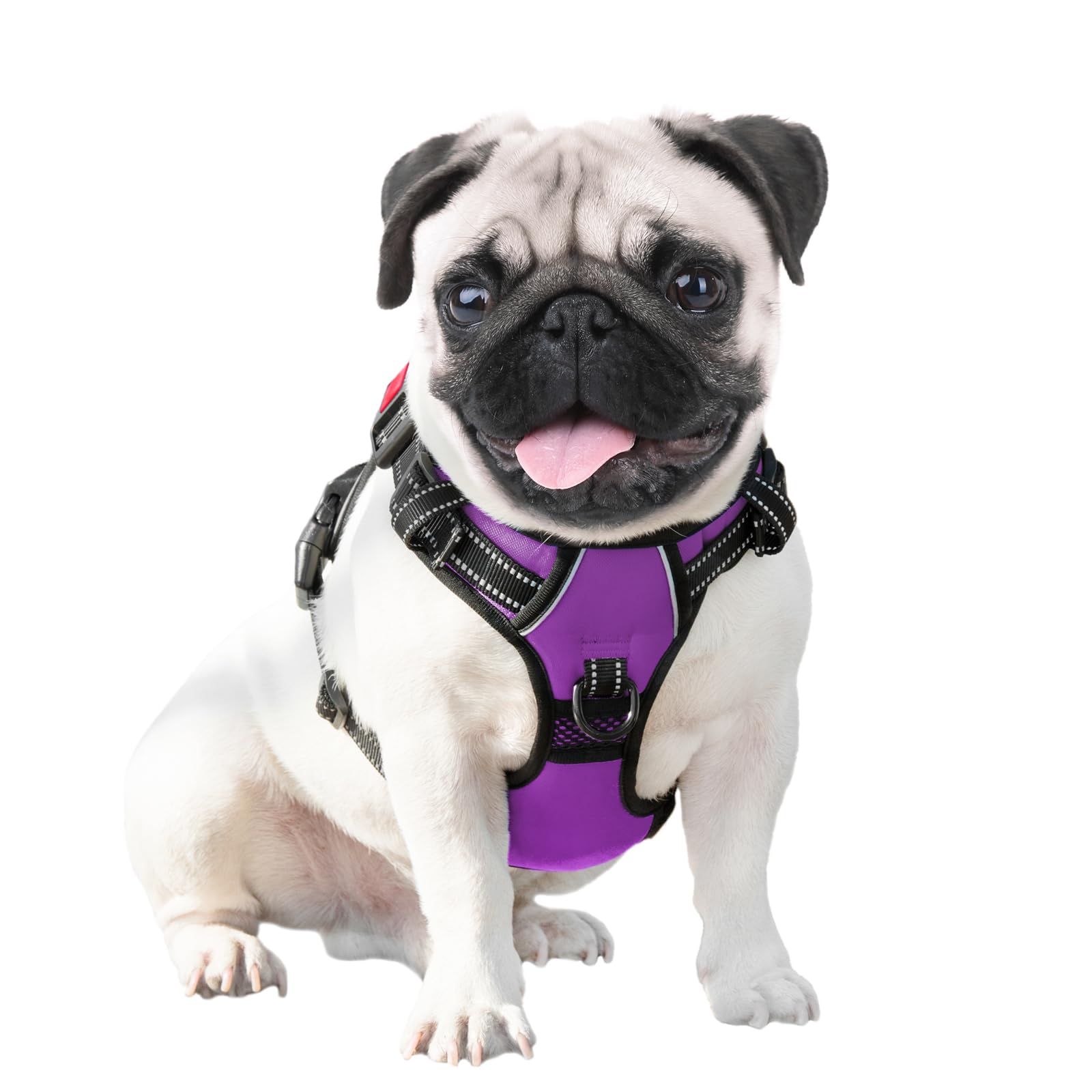 PHOEPET arnés para perros de gran talla; ajuste de 3 hebillas y dos anillos.