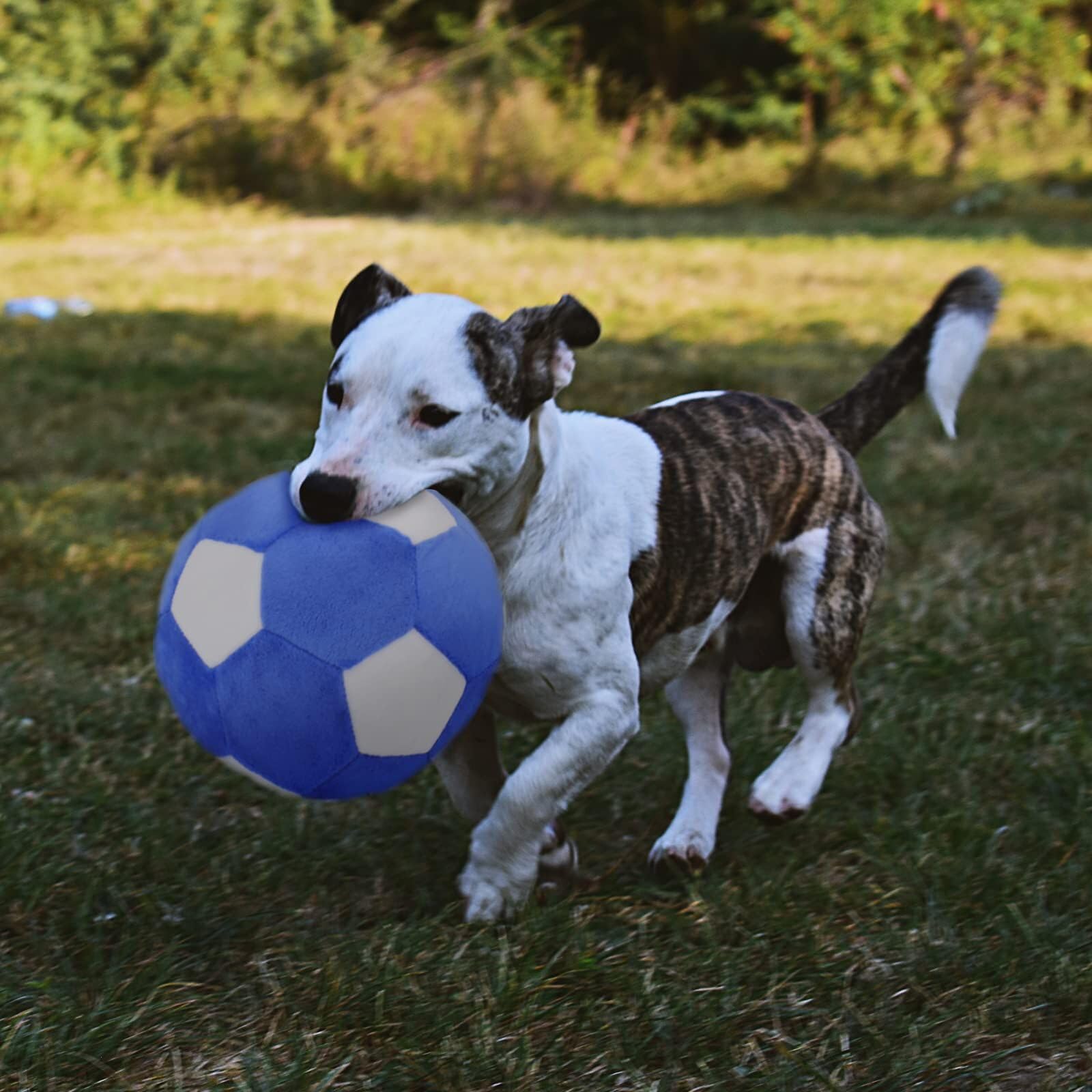 PIANG GOUER perfecto para perros medianos y grandes, fomenta interacción entre mascota y dueño