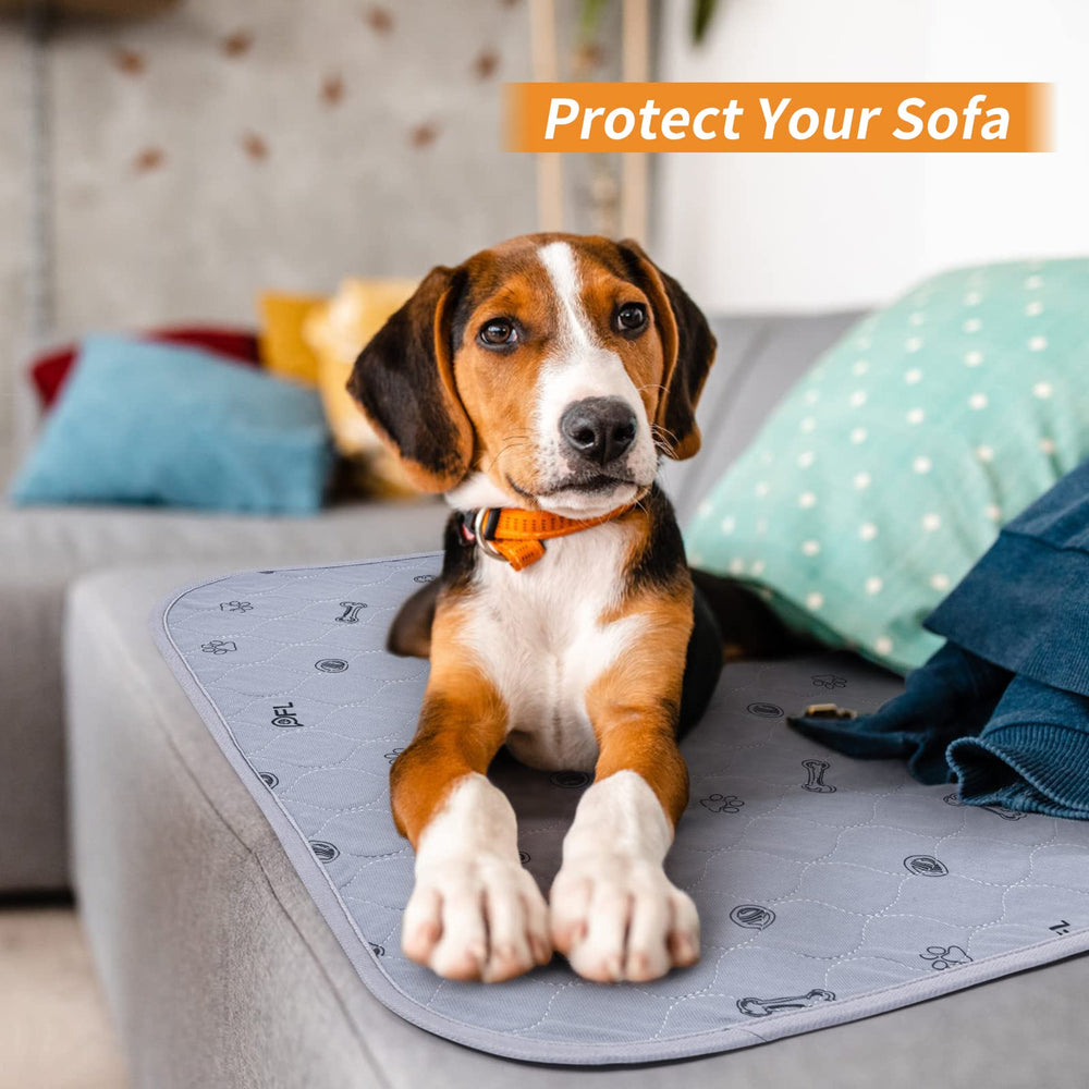 PICK FOR LIFE: almohadilla para uso en sofá y jaula, apta para perros.