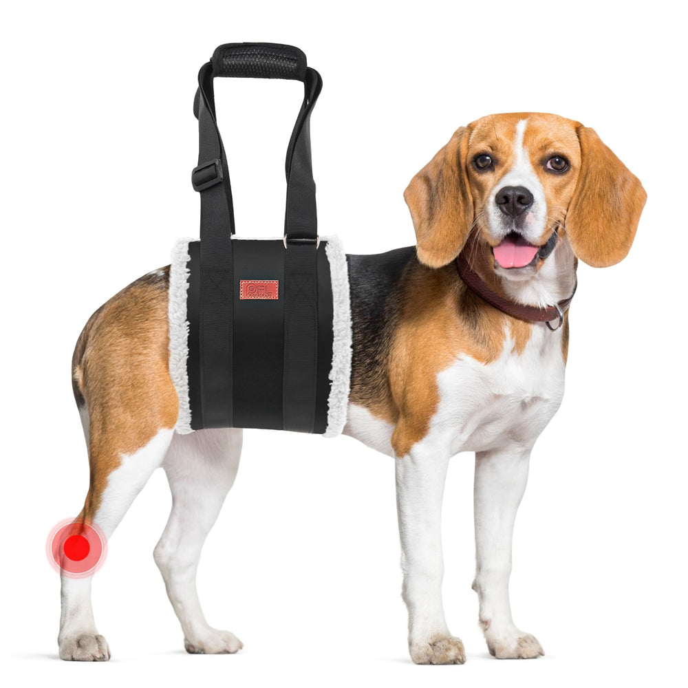 PICK FOR LIFE arnés levante-perro trasero, soporte práctico para escaleras.
