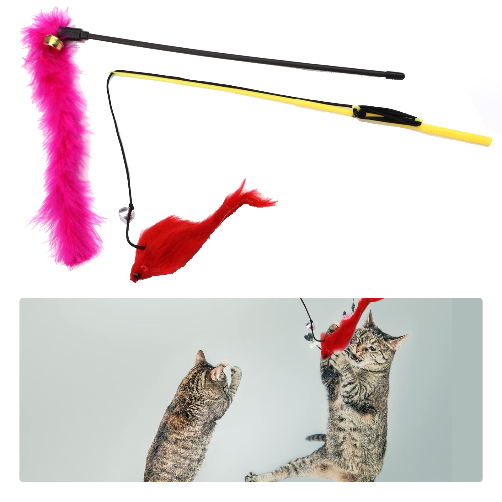 Pietypet vara-pescador para ejercicio y juego activo.