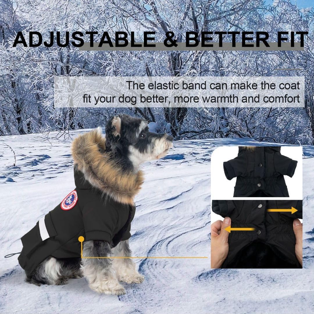 PINA chaqueta con ajuste de cintura para mejor ajuste en perro pequeño