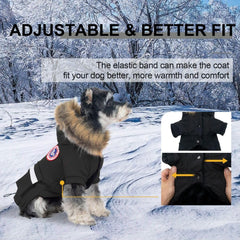 PINA chaqueta con ajuste de cintura para mejor ajuste en perro pequeño