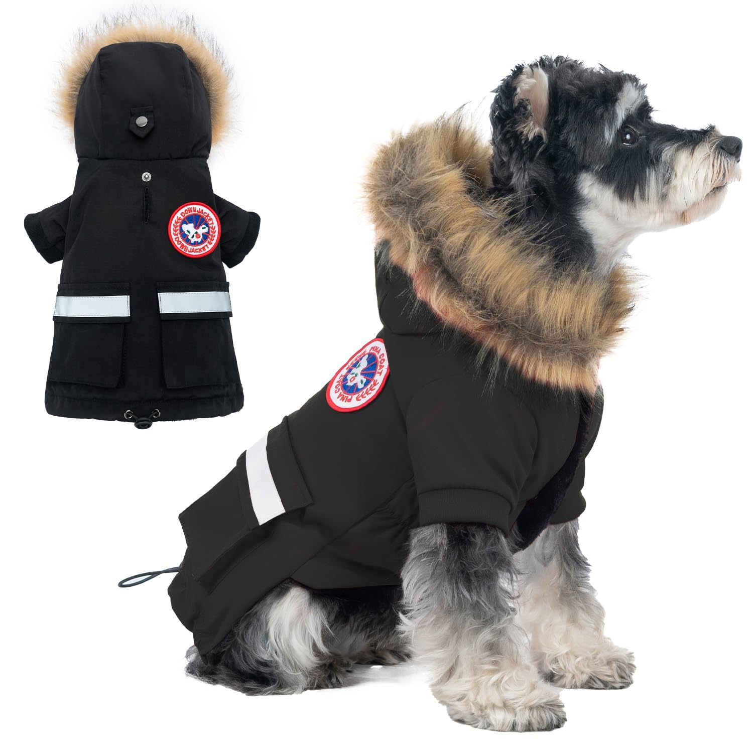 PINA chaqueta impermeable con capucha para perro pequeño, ideal para lluvia y viento