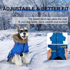 Chaqueta PINA para perro pequeño con cierre de botones para poner y quitar fácilmente