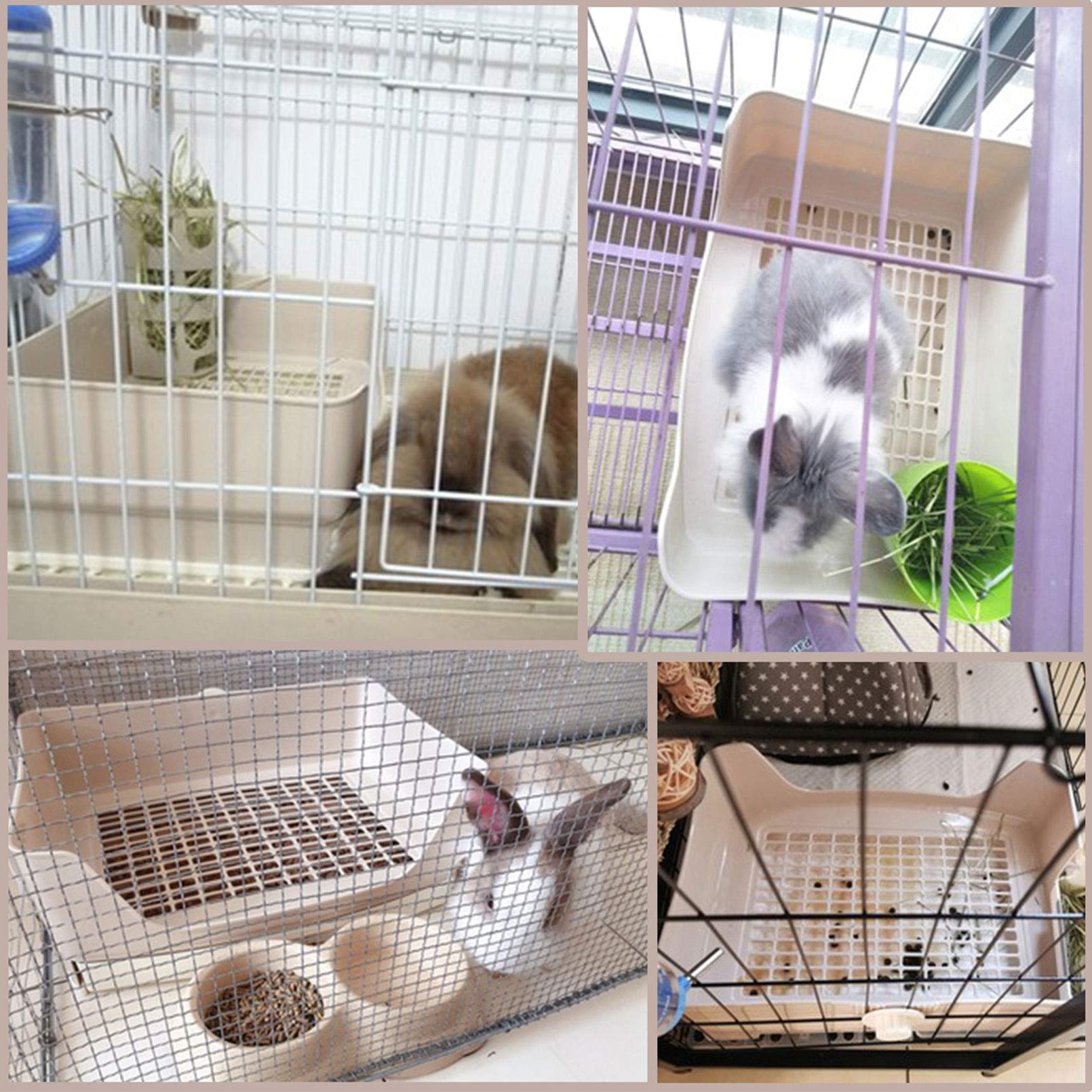 PINVNBY acceso-bajo caja-latrina, entrada suave para mascotas pequeñas.
