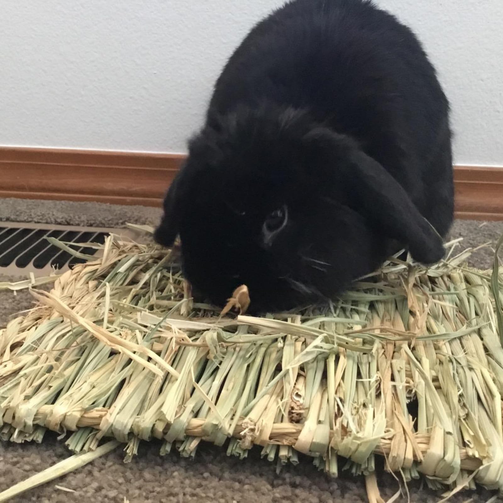 PINVNBY tapete de heno para chinchillas y otros pequeños