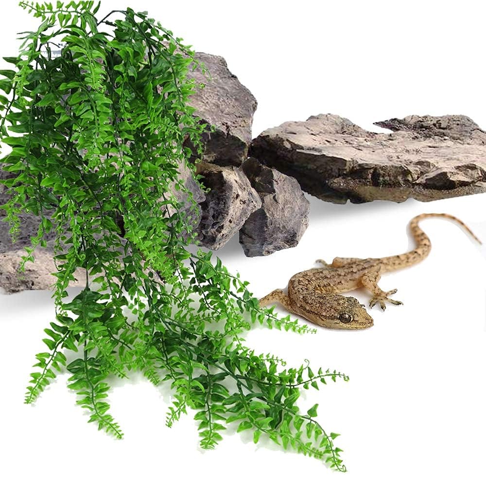 PINVNBY conjunto de dos plantas transforma el terrario en un entorno selvático.