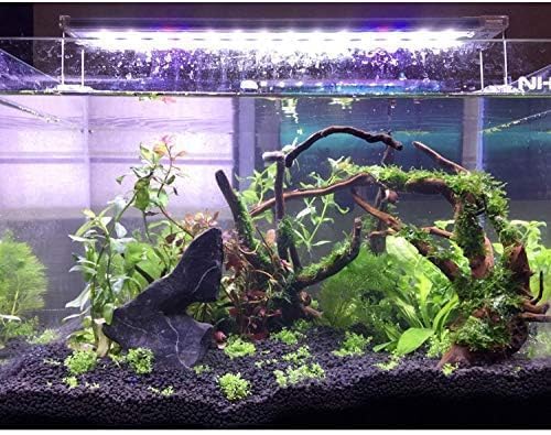 PINVNBY Madera deriva grande, disponible en 11–18 pulgadas para adaptarse.