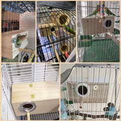 PINVNBY nido con protección contra viento para aves medianas.