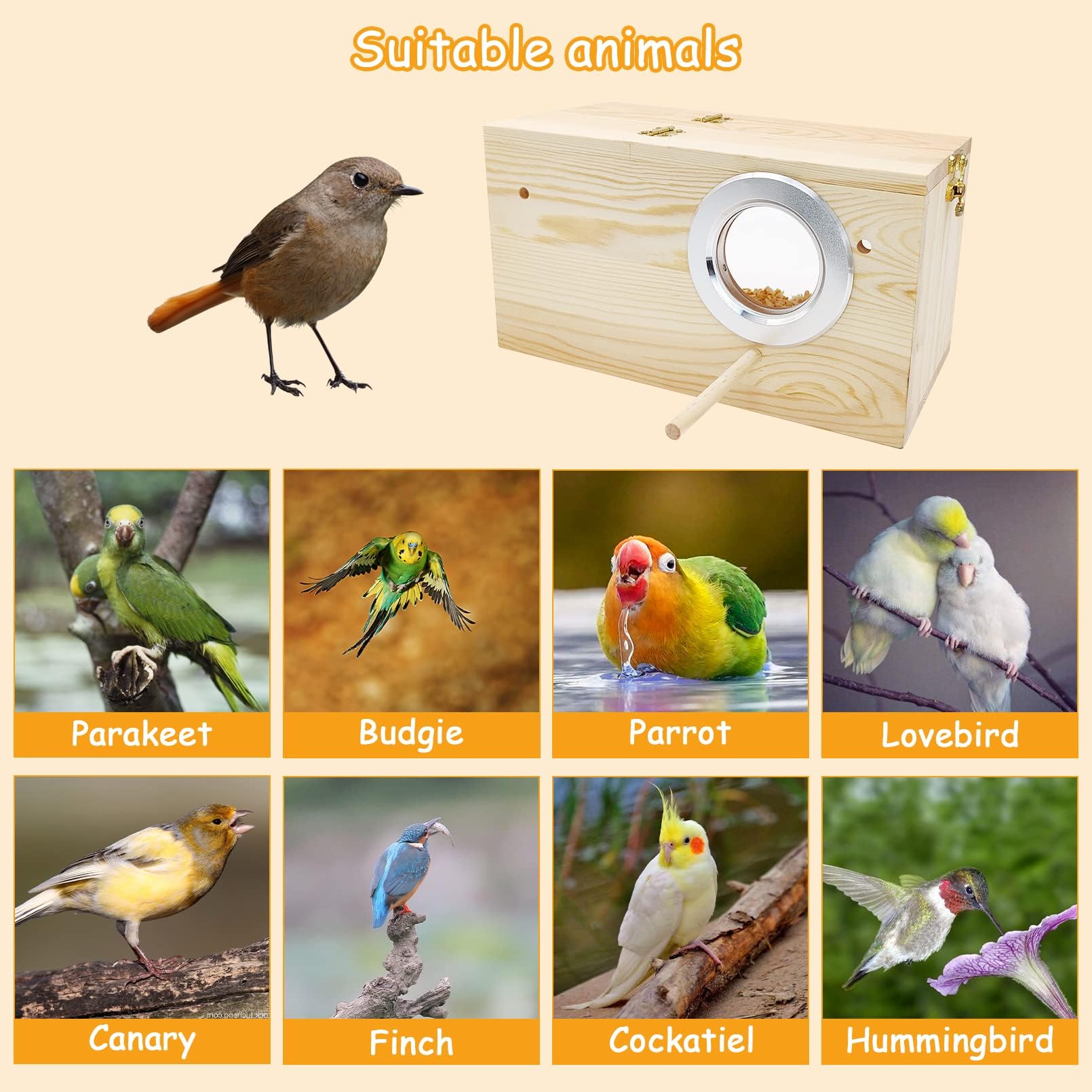 PINVNBY nido versátil para aves pequeñas como canarios.
