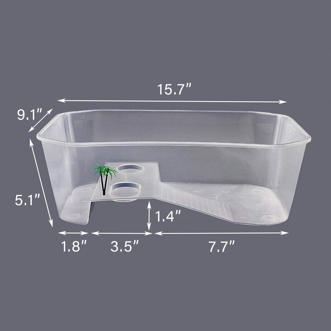 PINVNBY tanque tortuga diseño transparente para observar mascotas