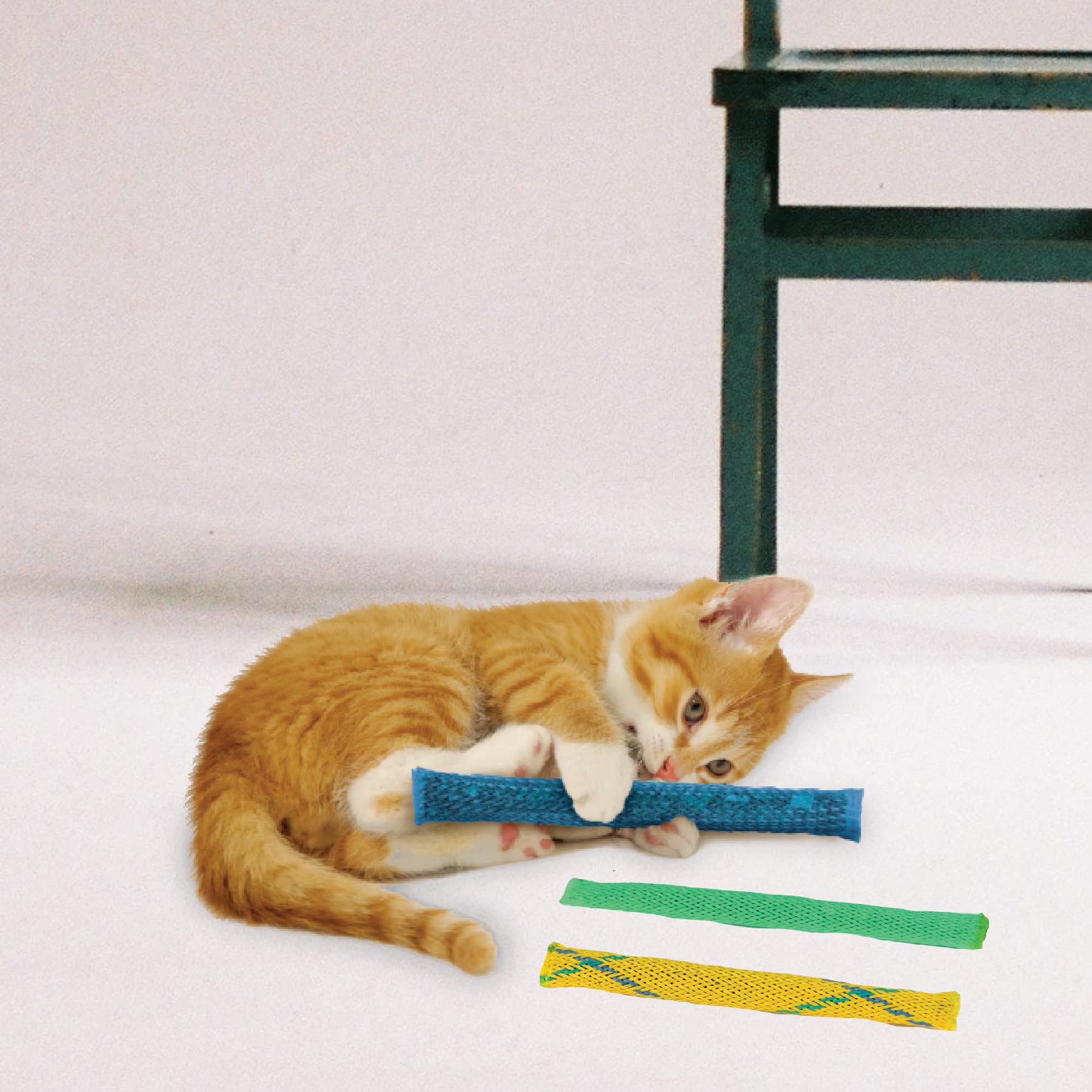 Pioneer Pet Nip Nibblers, uso diario para gatos de interior