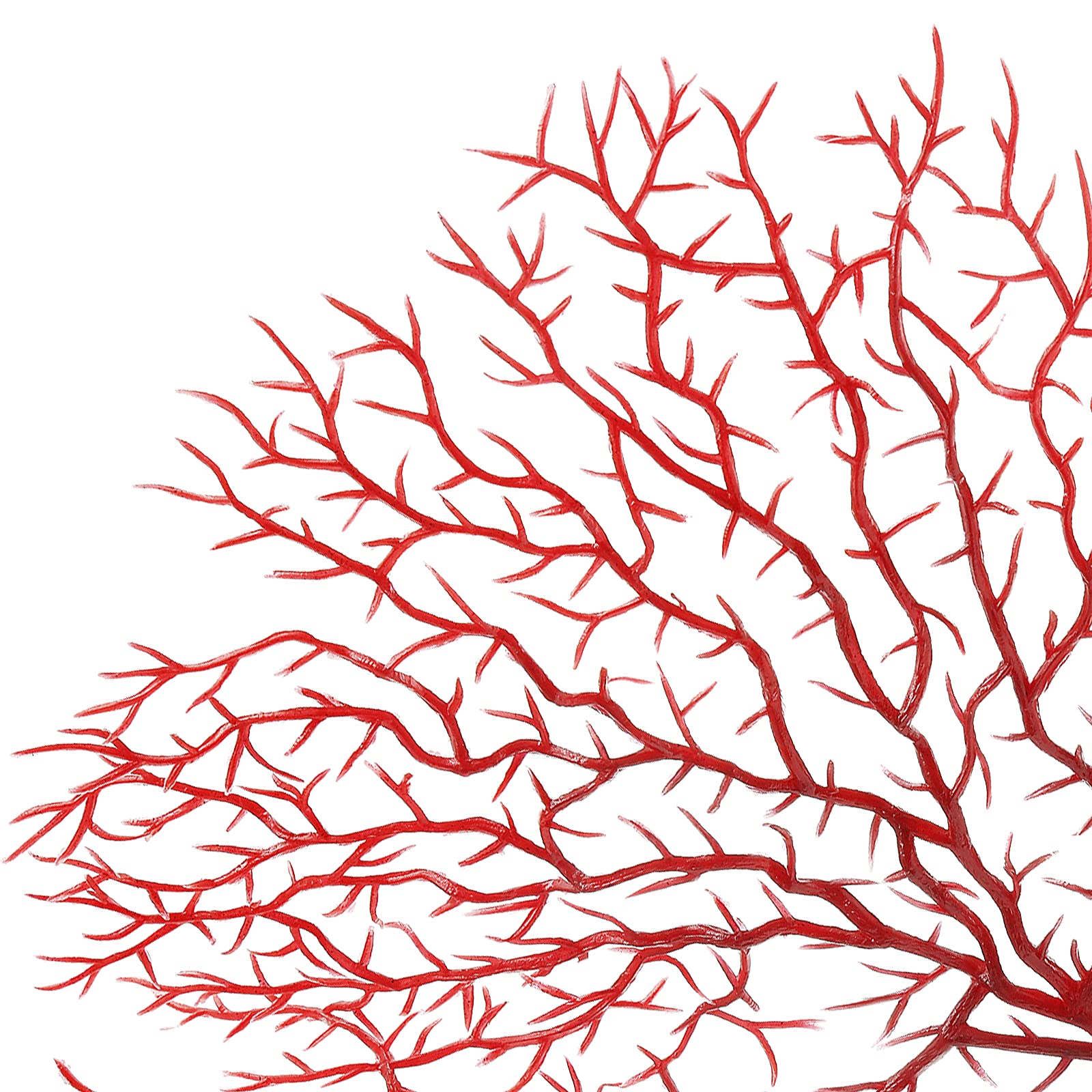 Piutouyar coral abanico rojo, aporta aspecto vibrante al paisaje del acuario.