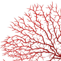 Piutouyar coral abanico rojo, aporta aspecto vibrante al paisaje del acuario.