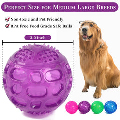 Bola PJDH morada para buscar y traer durante sesiones de juego.