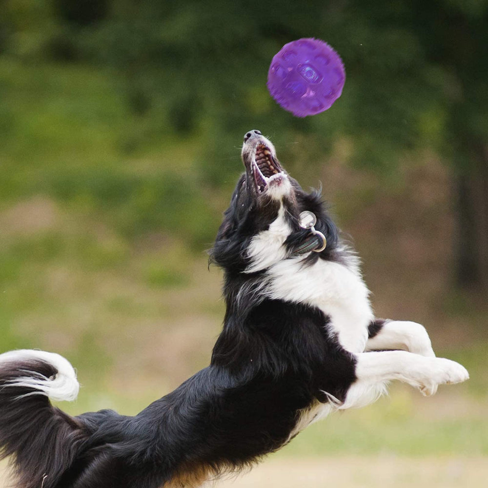 Pelotas PJDH aptas para perros de distintos tamaños y para gatos.