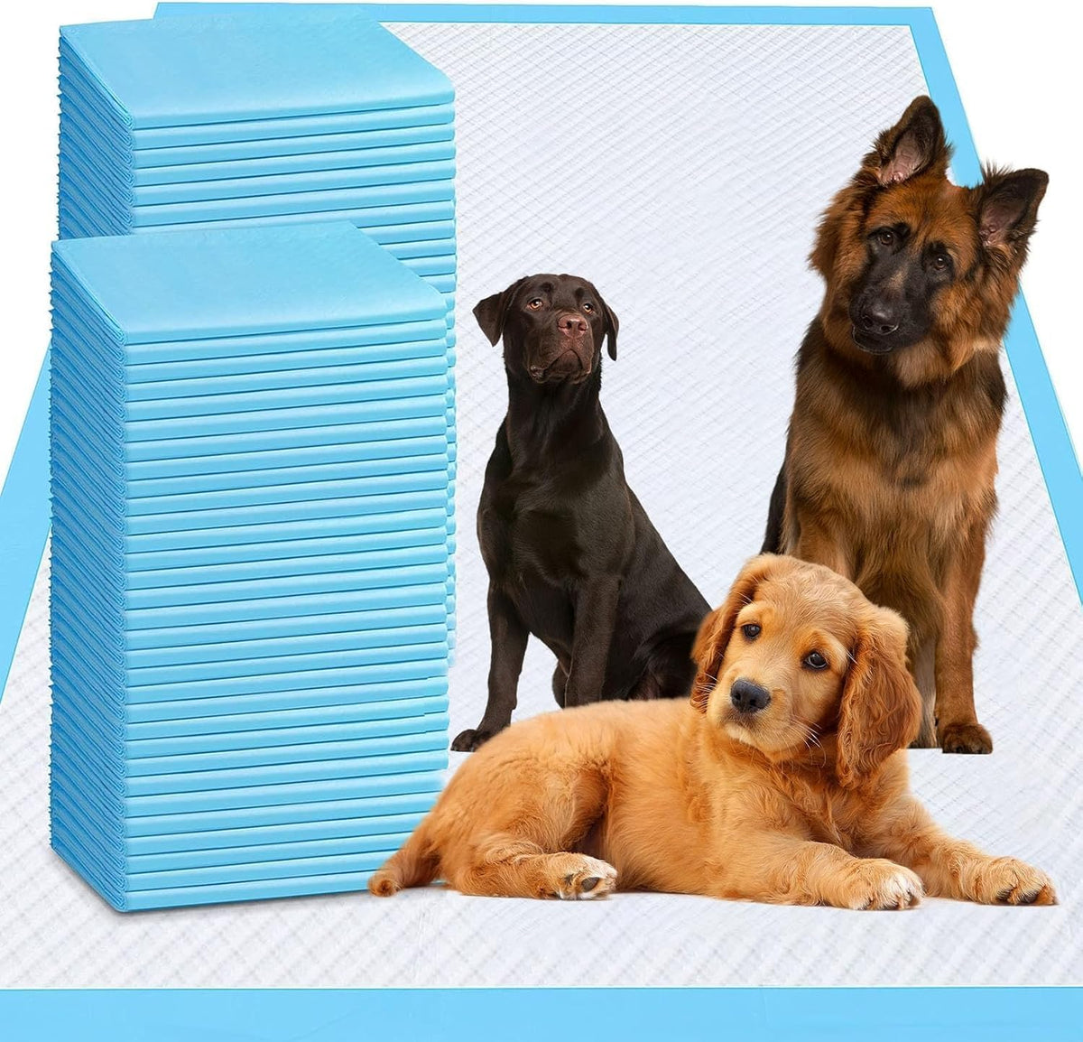 PJYRTOQ almohadillas entrenamiento perro 36x55, alta absorción para suelos secos.