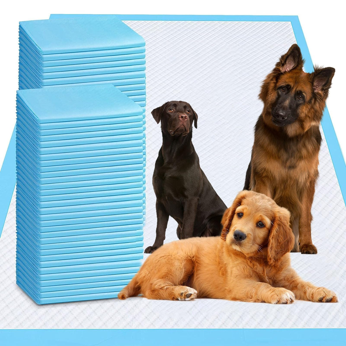 PJYRTOQ tapete de entrenamiento grande para perros protege suelos