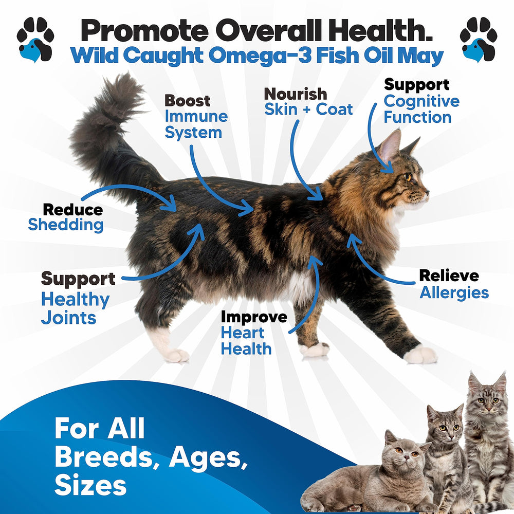 Planopaws Omega-3 para gatos: dosificador para añadir al alimento.