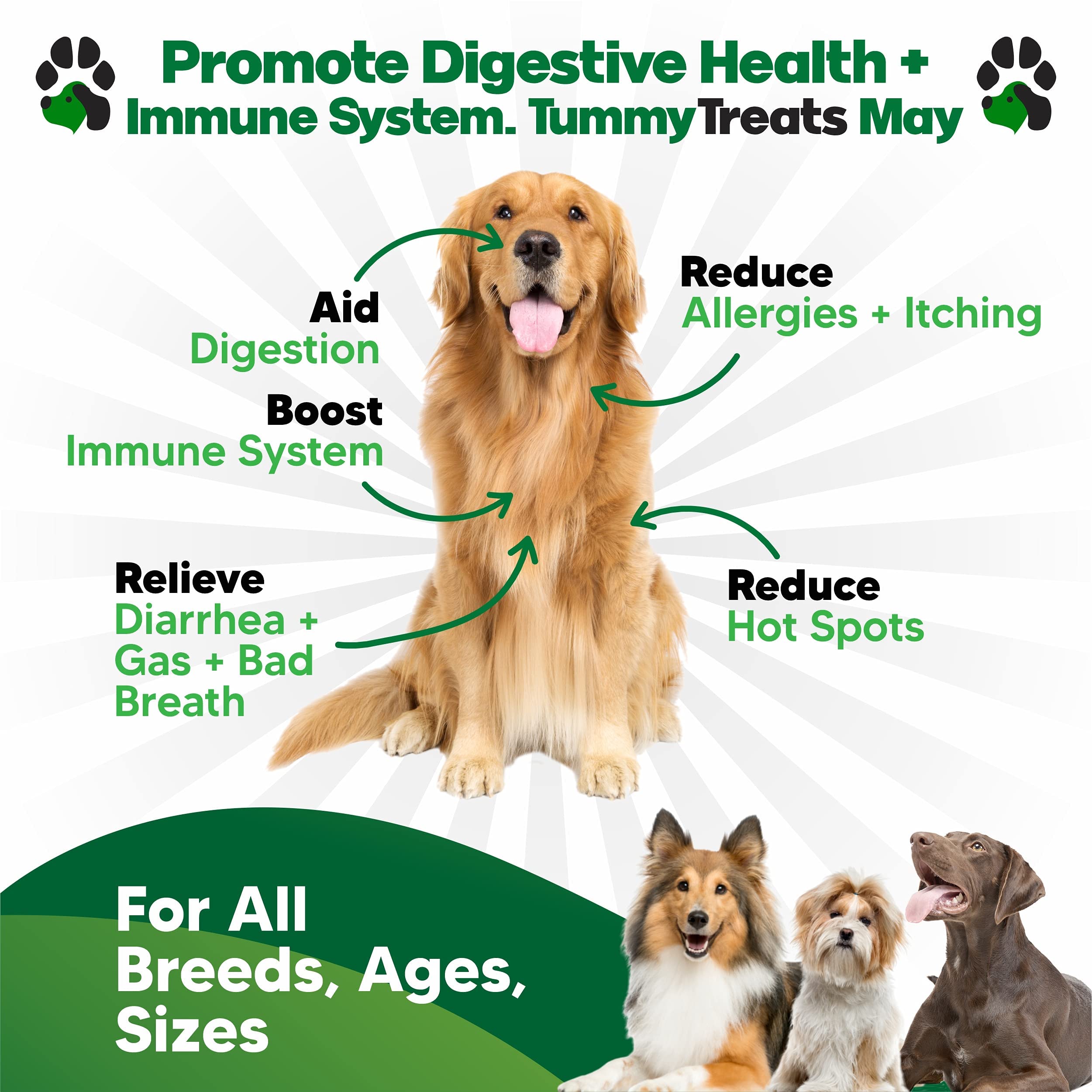 Planopaws Probióticos para perros: textura suave y apoyo digestivo