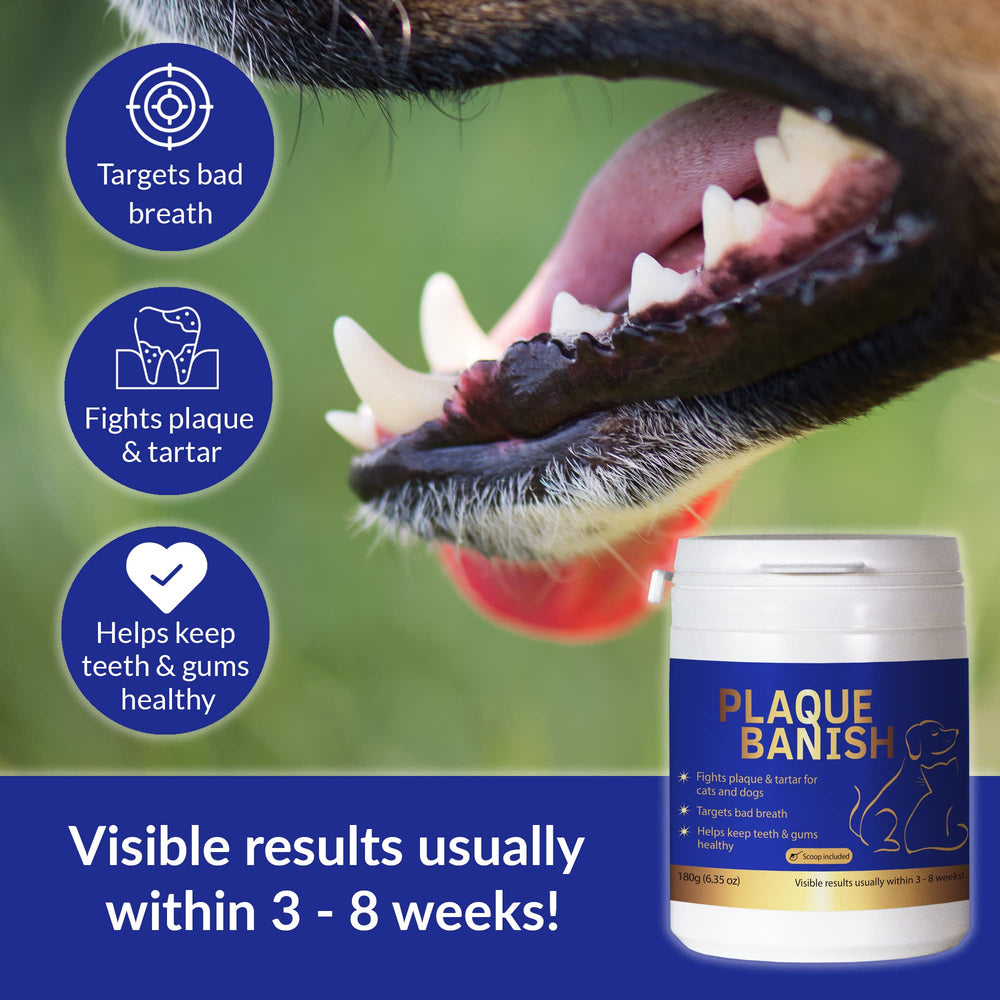 Plaque Banish: aroma fresco para la rutina de cepillado de mascotas.