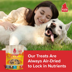 Plato Real Strips ingredientes-naturales: snack sin colorantes artificiales.