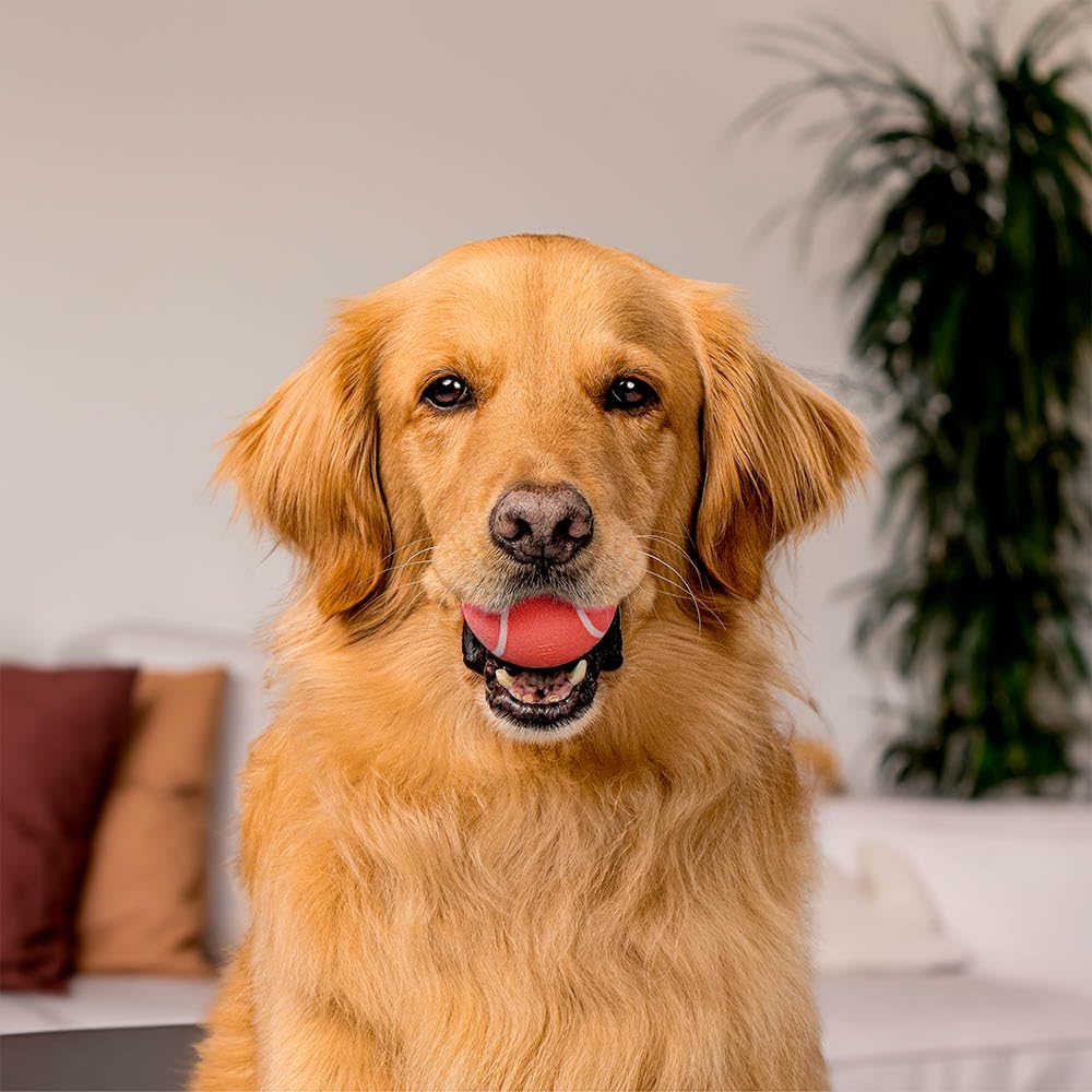 Playology bola flotante para agua, ideal para juegos de piscina y playa.