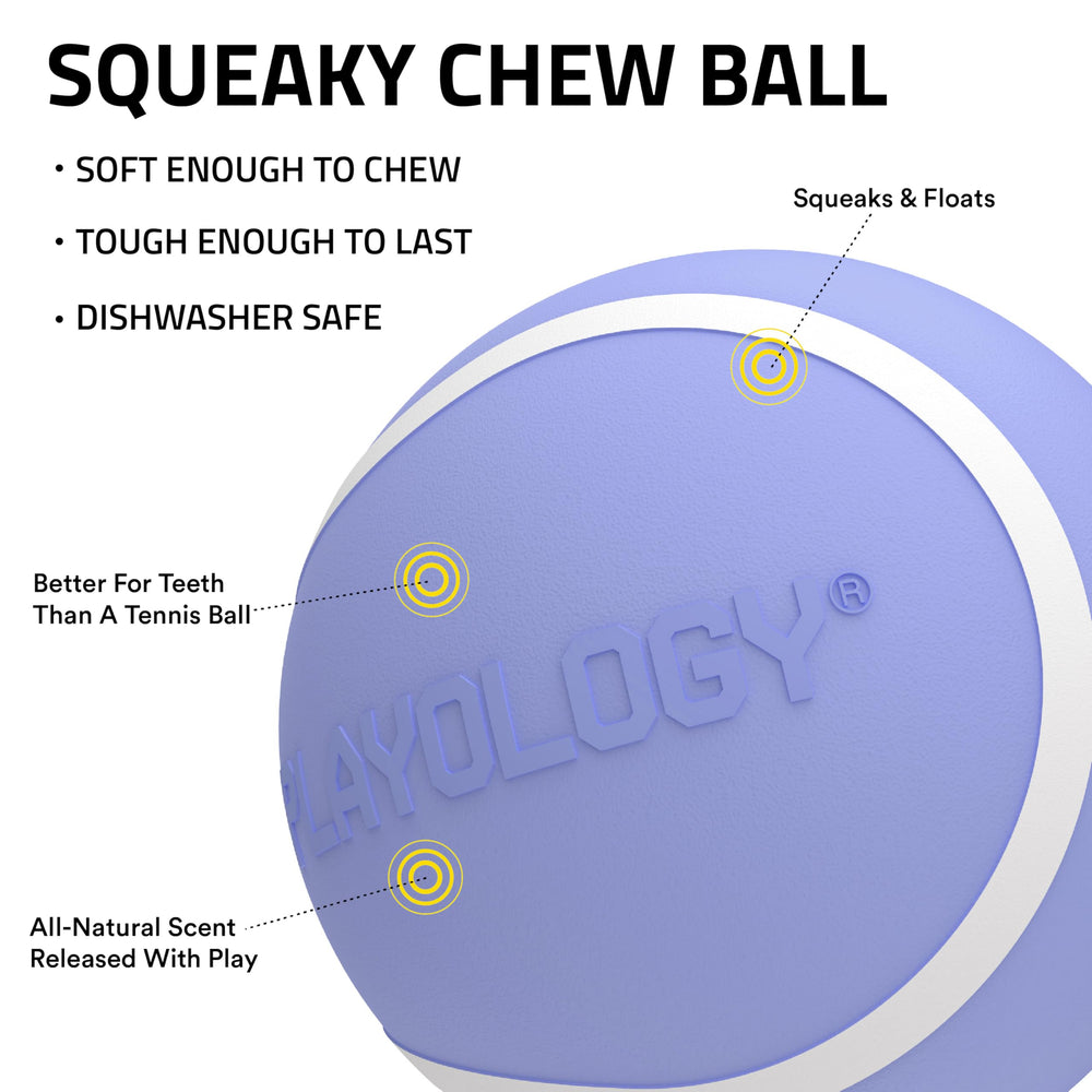 Playology Juguete masticable para perros grandes, resistente para roer.