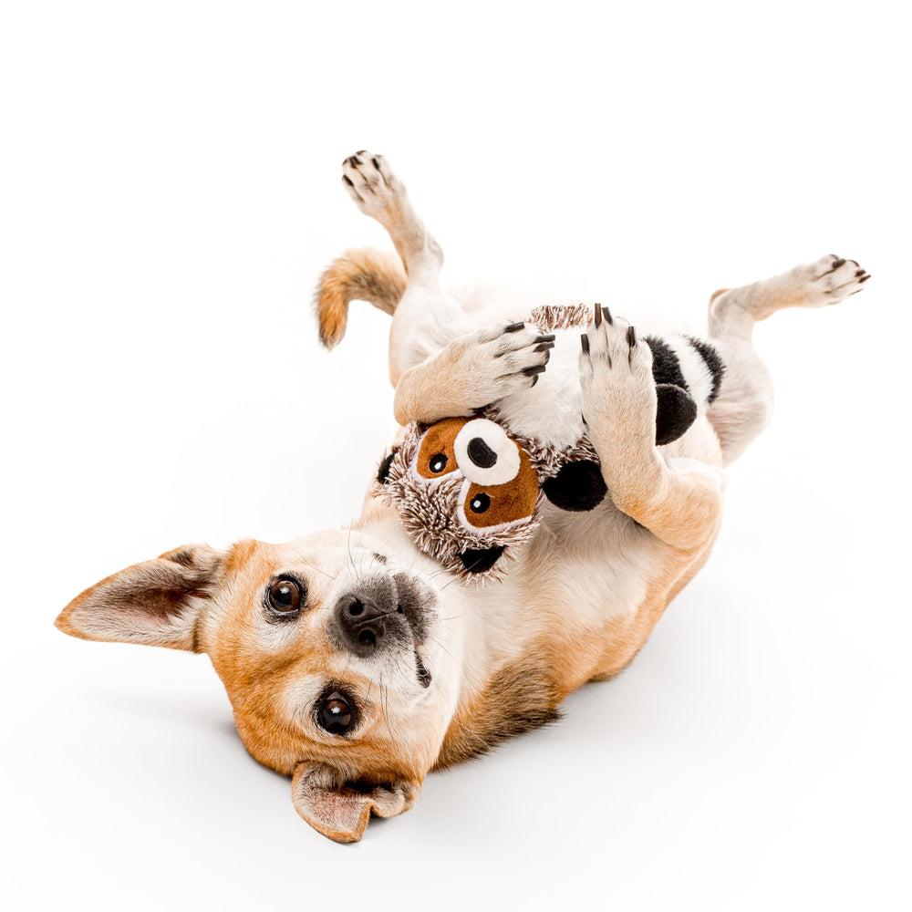 Juguete para perro con chirrido de Playology para estimulación prolongada.