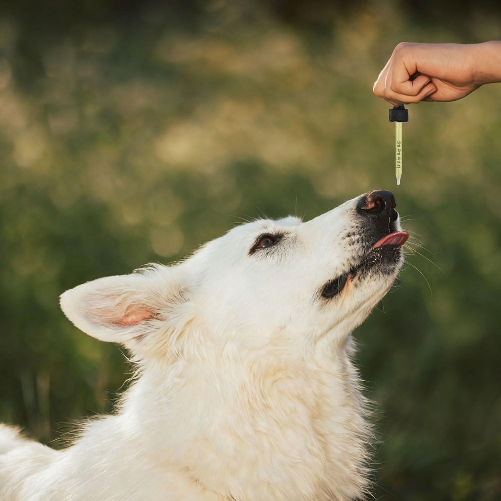 Uso diario de Pleasantly Warm Propolis, fórmula suave para mascotas selectivas.