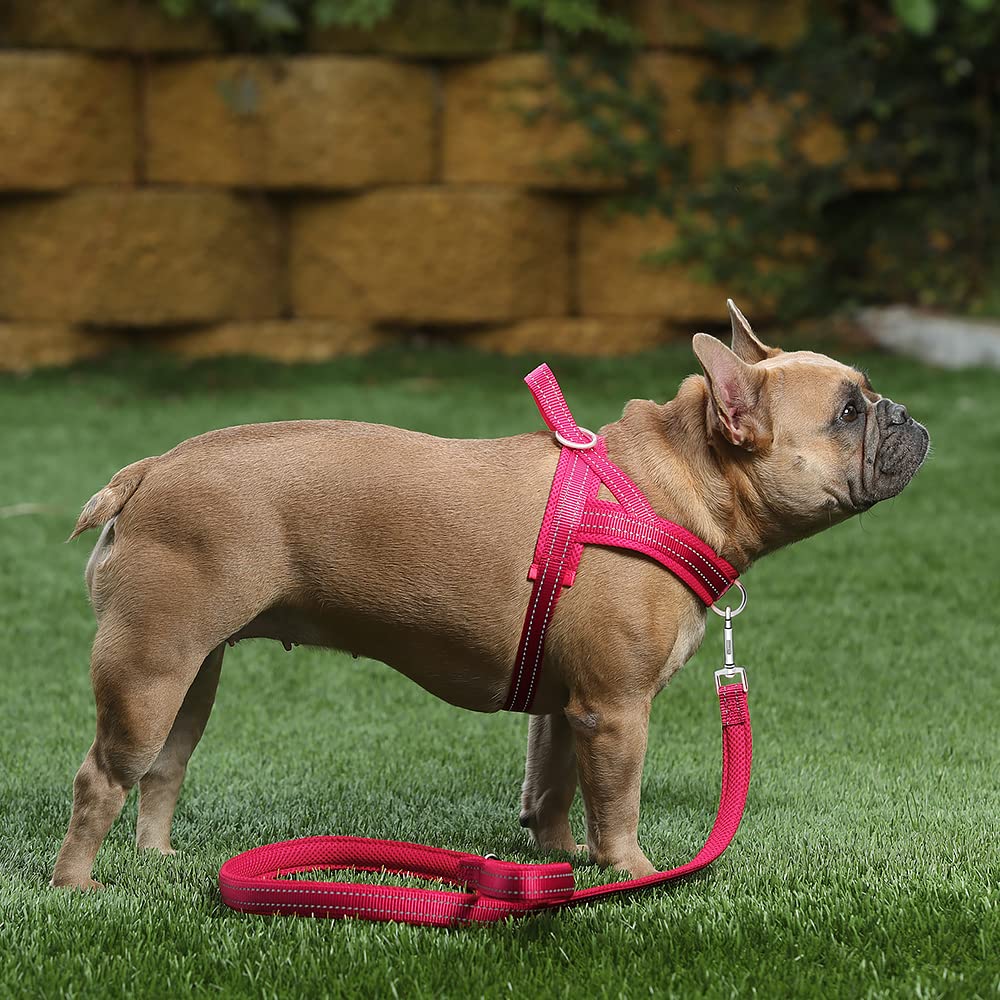 Arnés reflectivo PLUTUS PET para paseos nocturnos seguros
