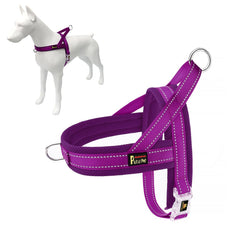 Arnés PLUTUS PET con ajuste rápido para paseos simples.