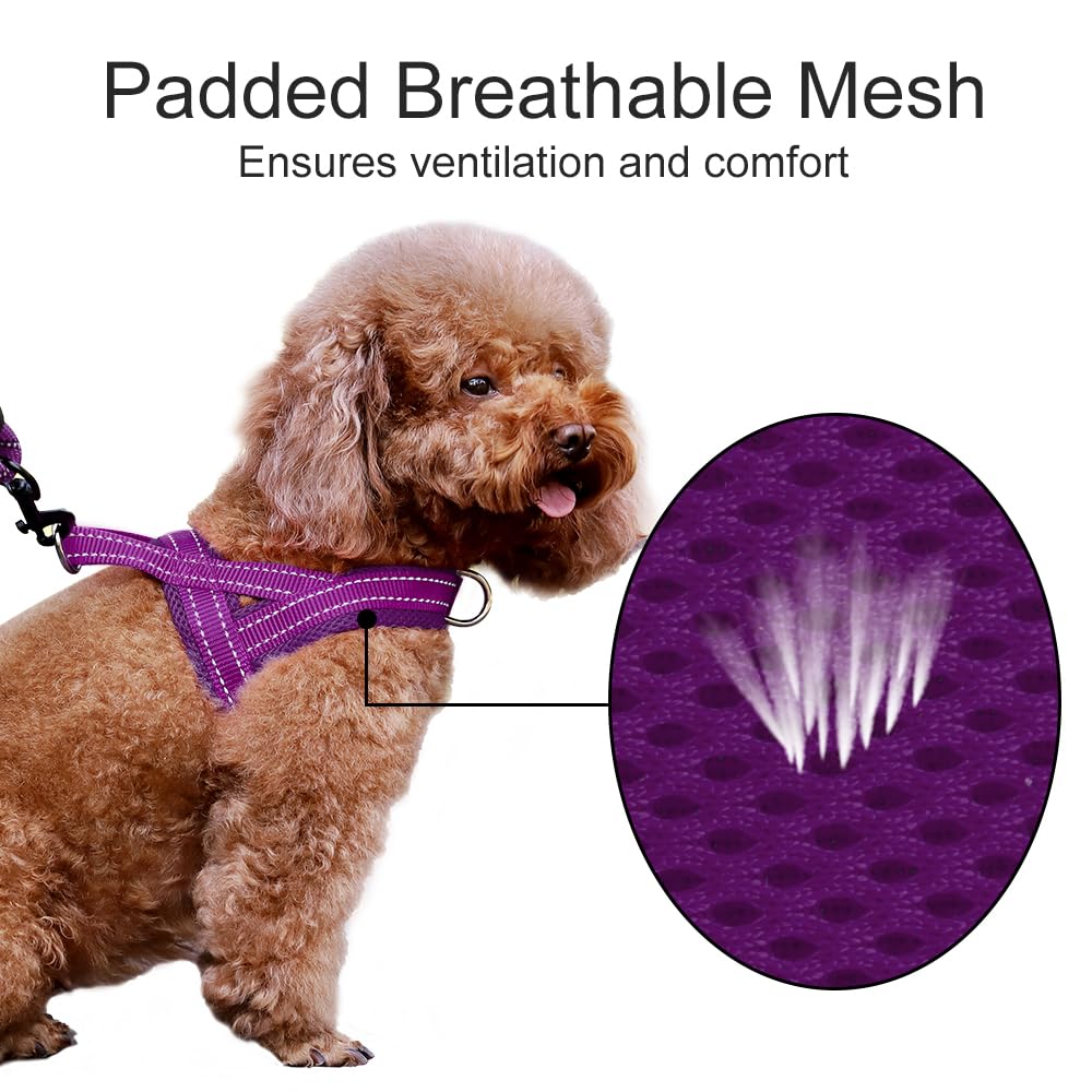 Arnés PLUTUS PET diseño dorsal ergonómico y nylon resistente para uso diario.