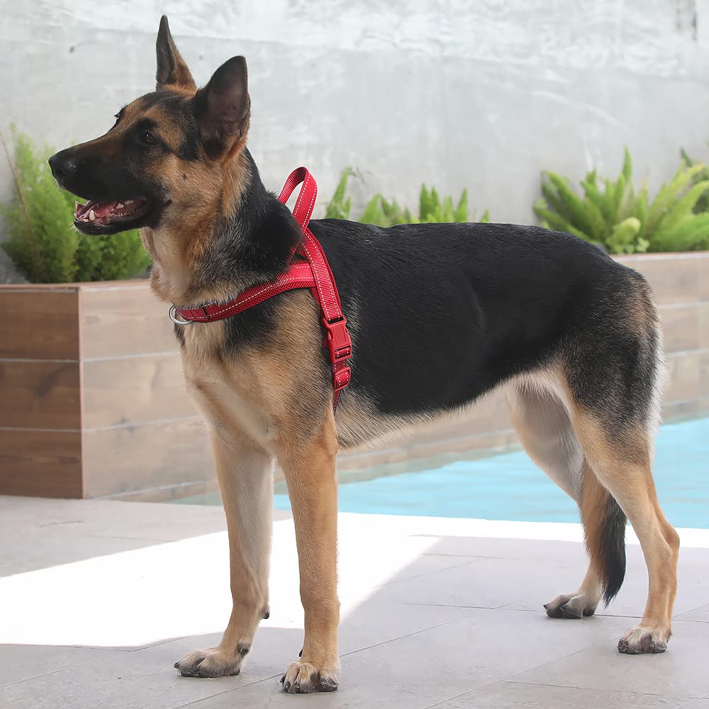 Plutus Pet nylon resistente para durabilidad y uso prolongado.