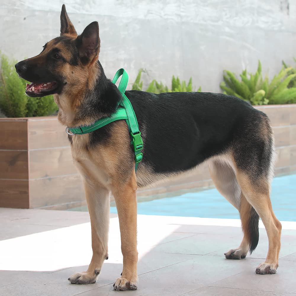 Arnés Plutus Pet para uso nocturno con malla cómoda y ventilada