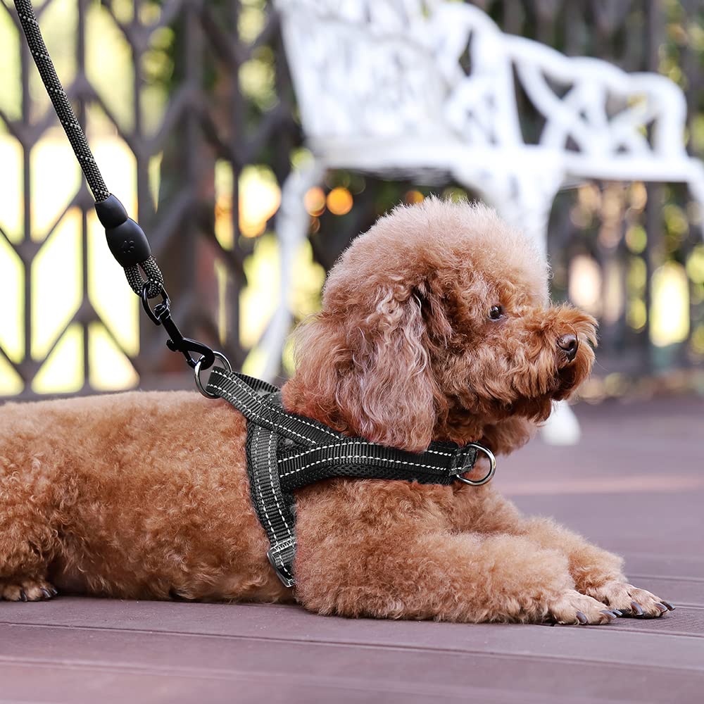 Arnés Plutus Pet reflectante para seguridad nocturna
