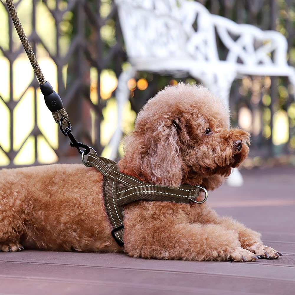 PLUTUS PET arnés talla L chocolate para perros grandes.