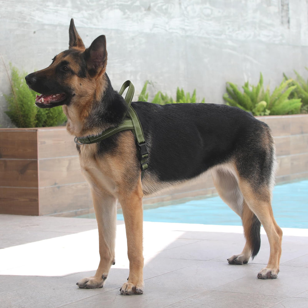 Arnés verde ranger de Plutus Pet para perros de todos los tamaños.