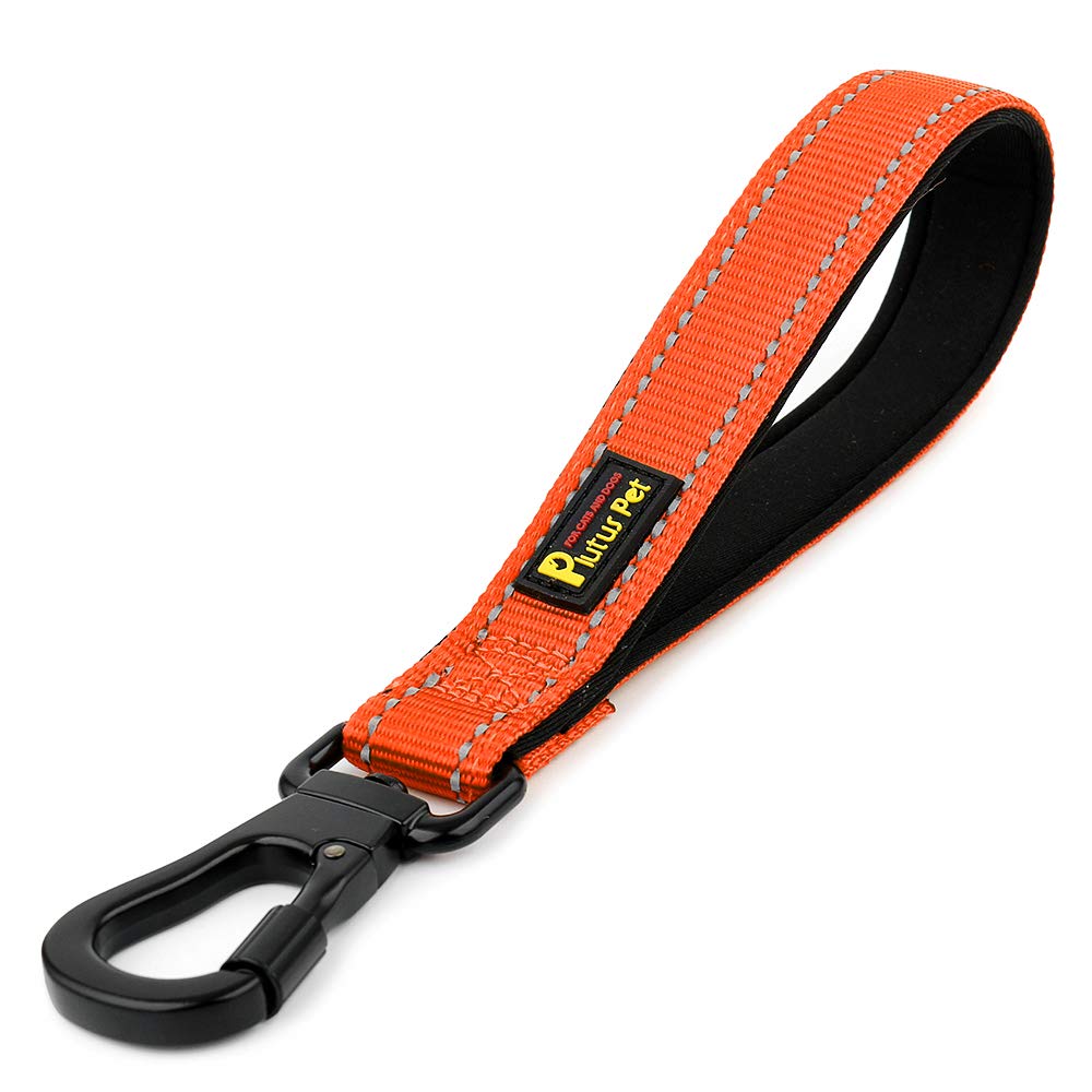 PLUTUS PET correa corta de 10 pulgadas con mosquetón seguro para control cercano
