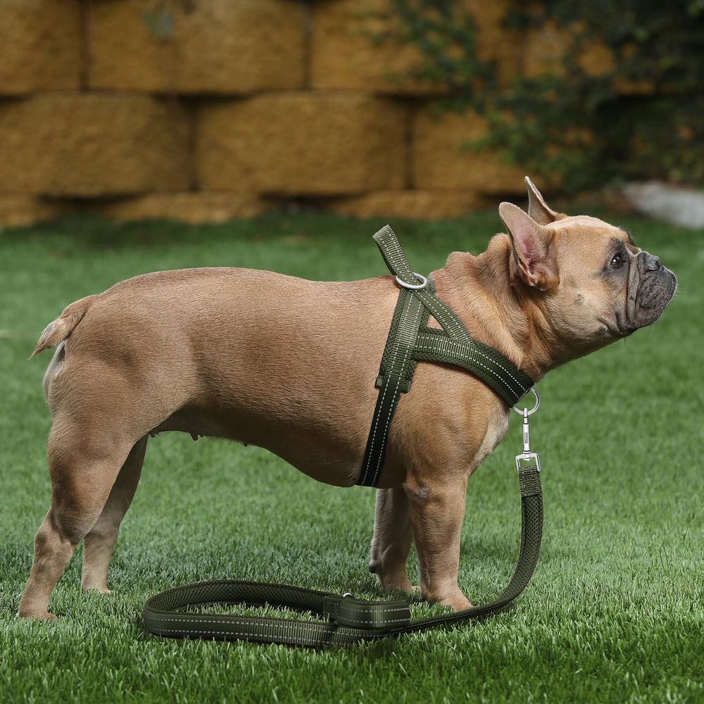 Arnés Plutus Pet con costura reflectiva para visibilidad nocturna.