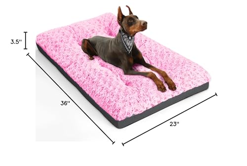 POCBLUE tamaño grande para perros de hasta 60 libras.