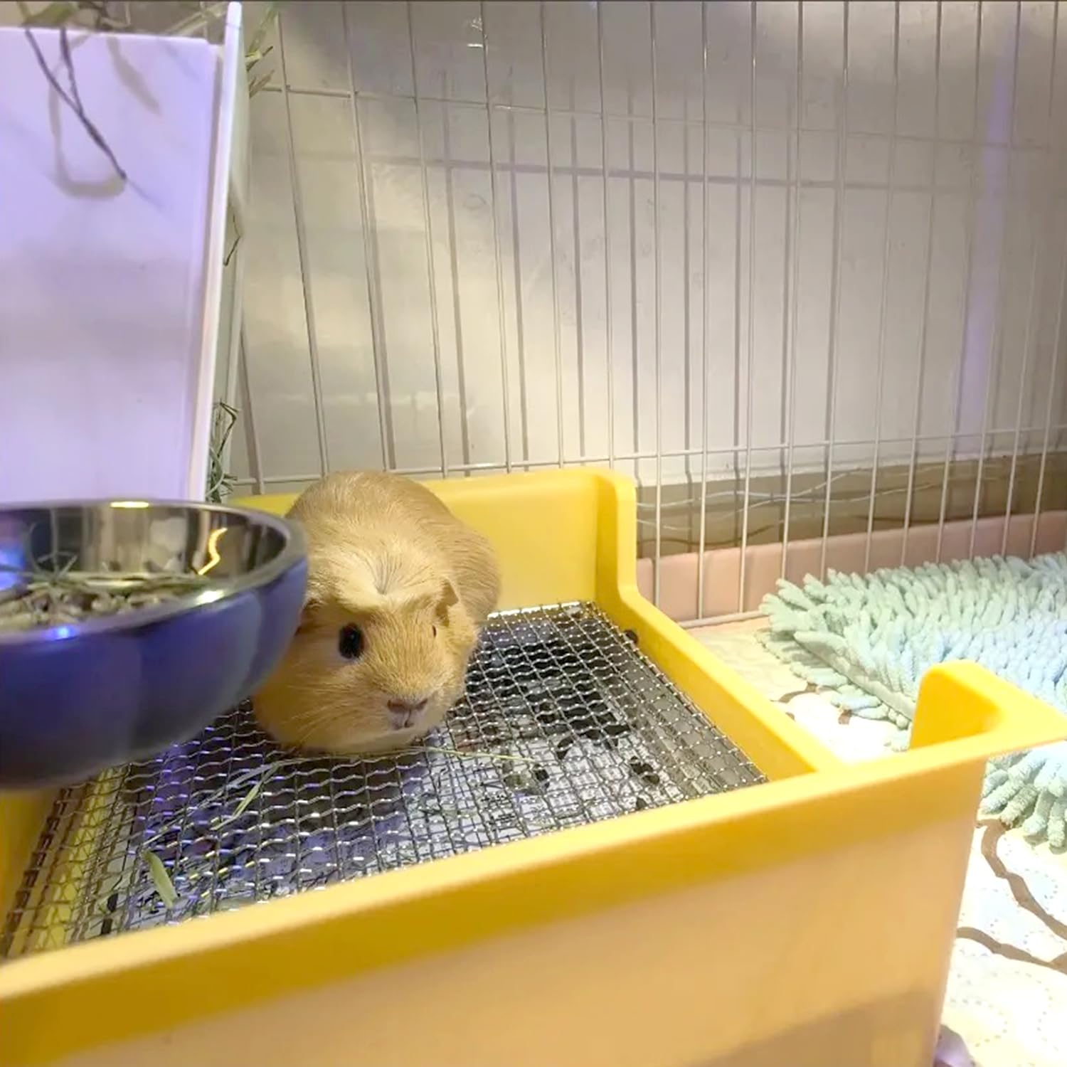 PODOO caja de arena para conejos: limpieza fácil y recogida de desechos.