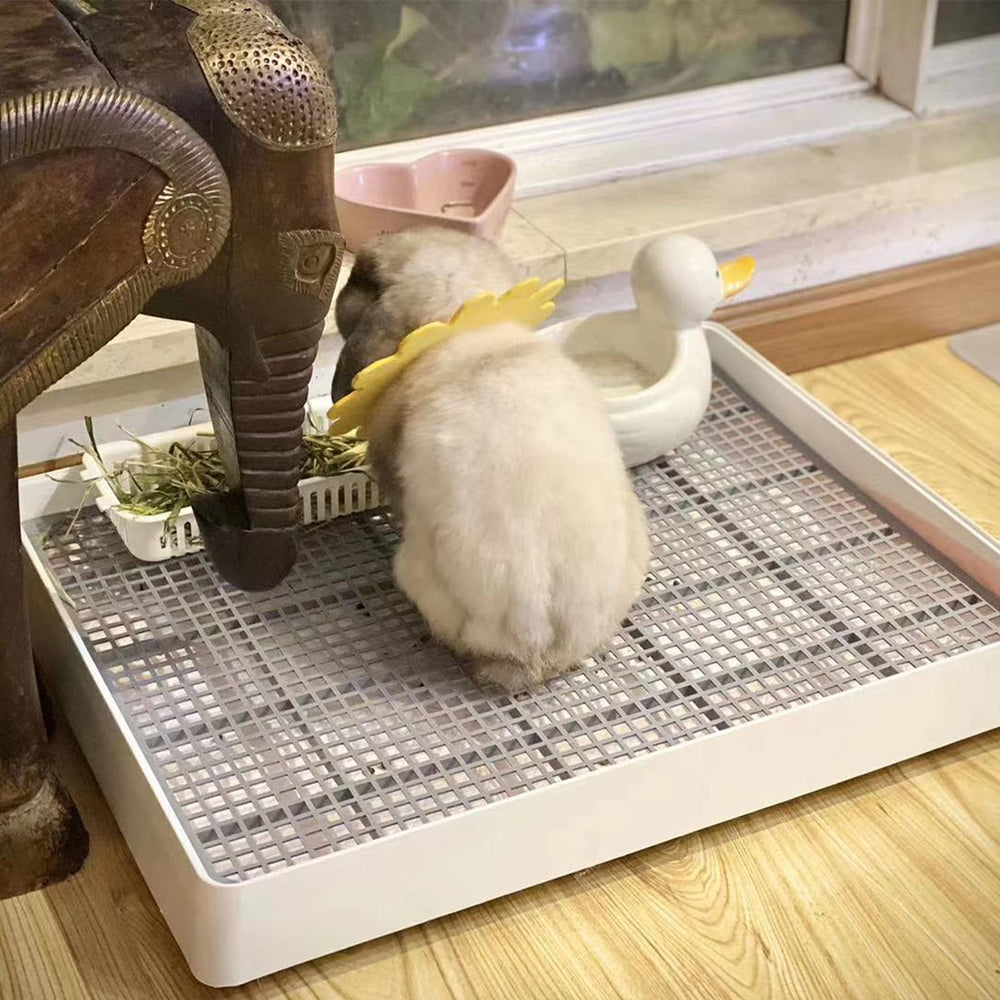 Diseño ergonómico de PODOO para conejos y cobayas, entrenamiento cómodo.